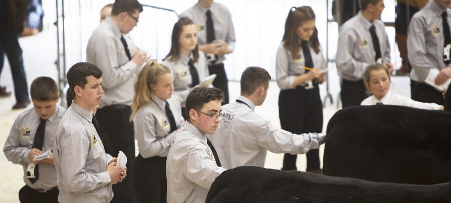 Aberdeen-Angus Youth Development Programme participants