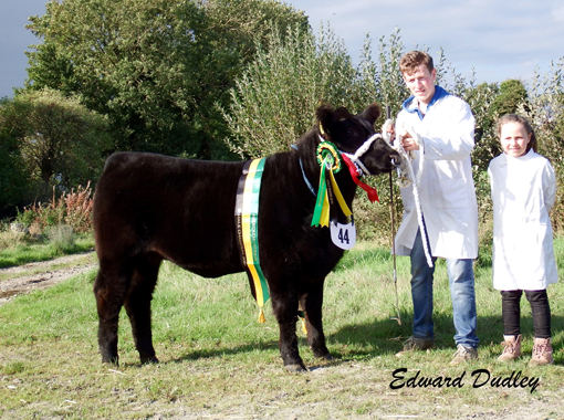 Female Champion Clooncarne Nicky