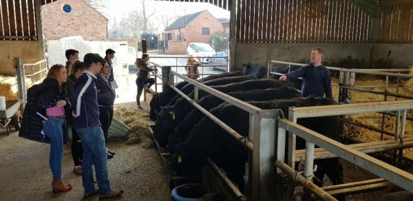 Ydp Senior Conference 2019 Aberdeen Angus Cattle Society