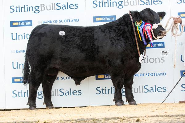 26 Linton Gilbertines Masterpiece R941 10000gns 7233