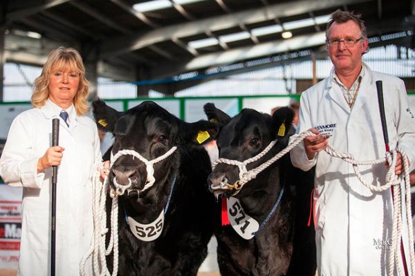 9336 Aberdeen Angus Exhibits 2014