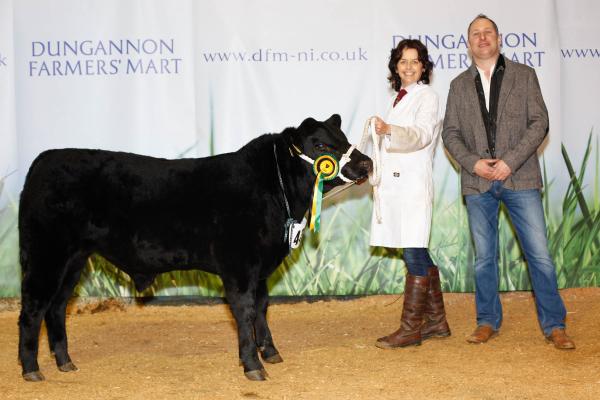 Class 10 and Reserve Bull Calf Champion