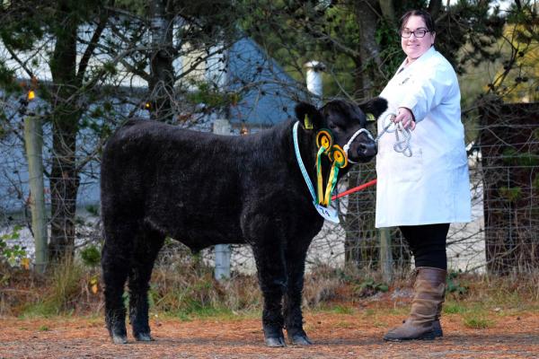 Class 14 and res bull calf champ