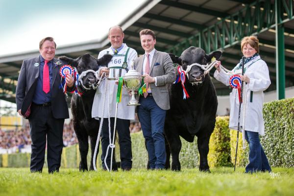 Native Interbreed Beef Pairs Champions 7863