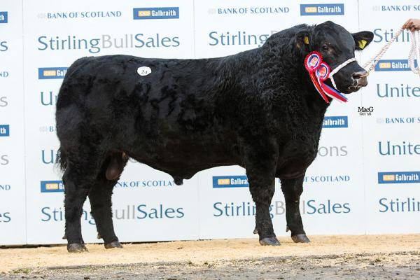 OVERALL 24 Drumhill Lord Hatfield R532 11000gns 7303