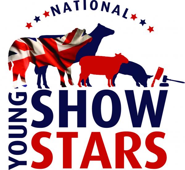 YOUNG STARS LOGO
