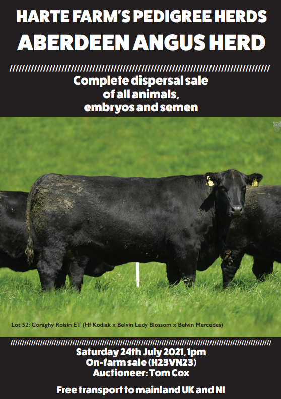 Harte Farm Dispersal Sale AberdeenAngus Cattle Society