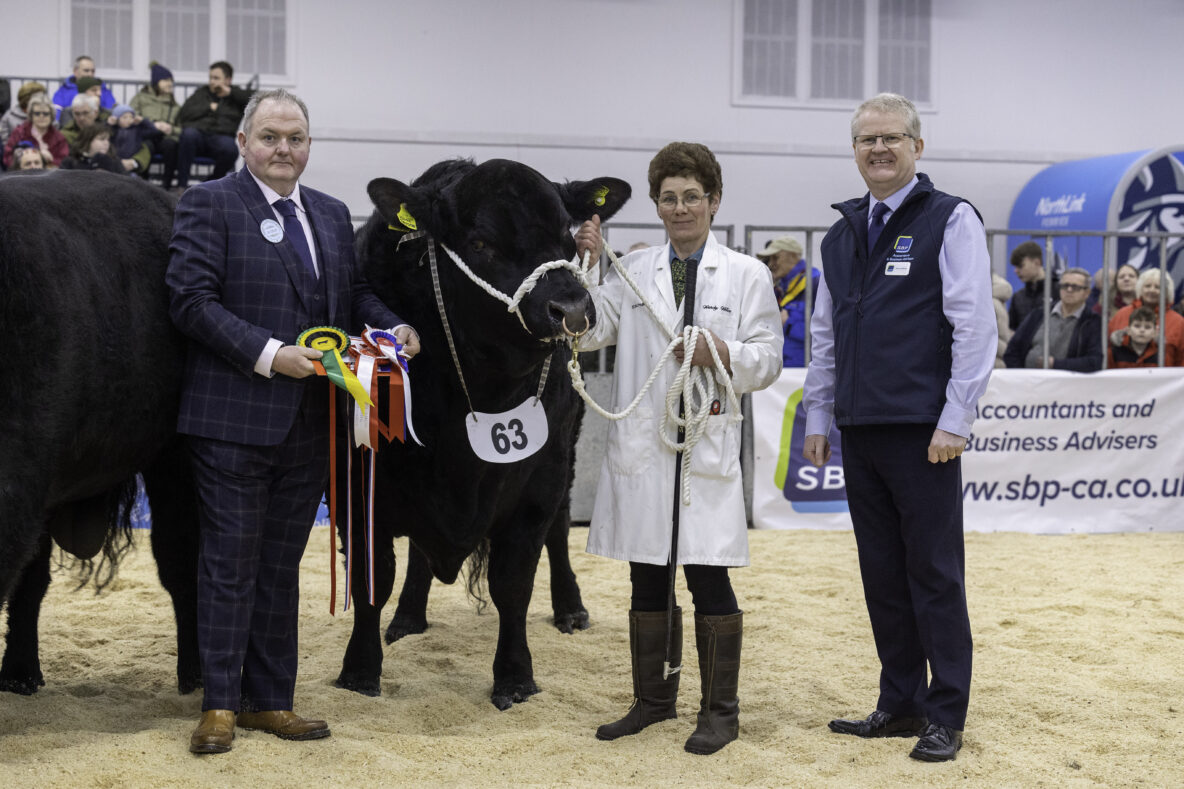 Aberdeen Spring Show & Sale 2023 AberdeenAngus Cattle Society