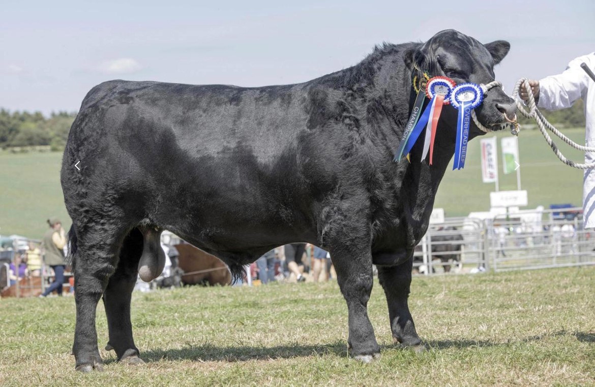 Central & West Fife Show 2023 Results AberdeenAngus Cattle Society