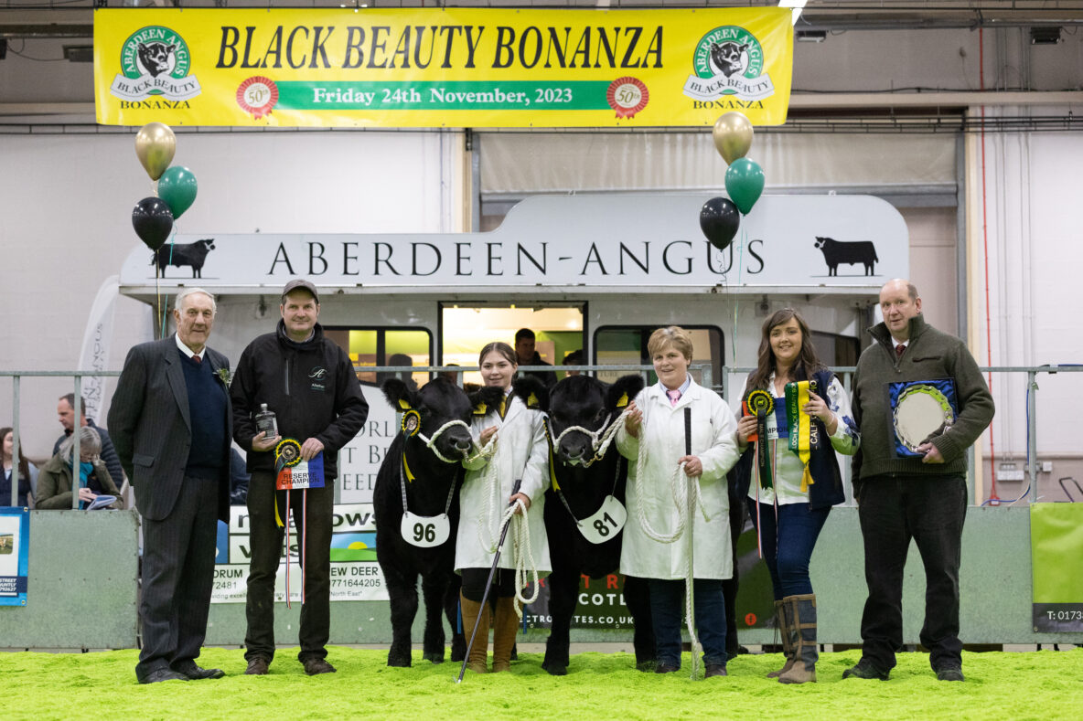 Black Beauty Bonanza Bull Calf Champion and Reserve
