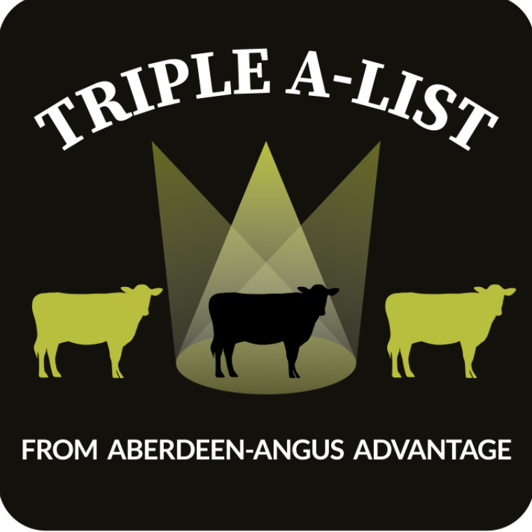Triple-A-List logo