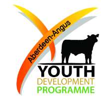 Youth Development Programme (YDP)