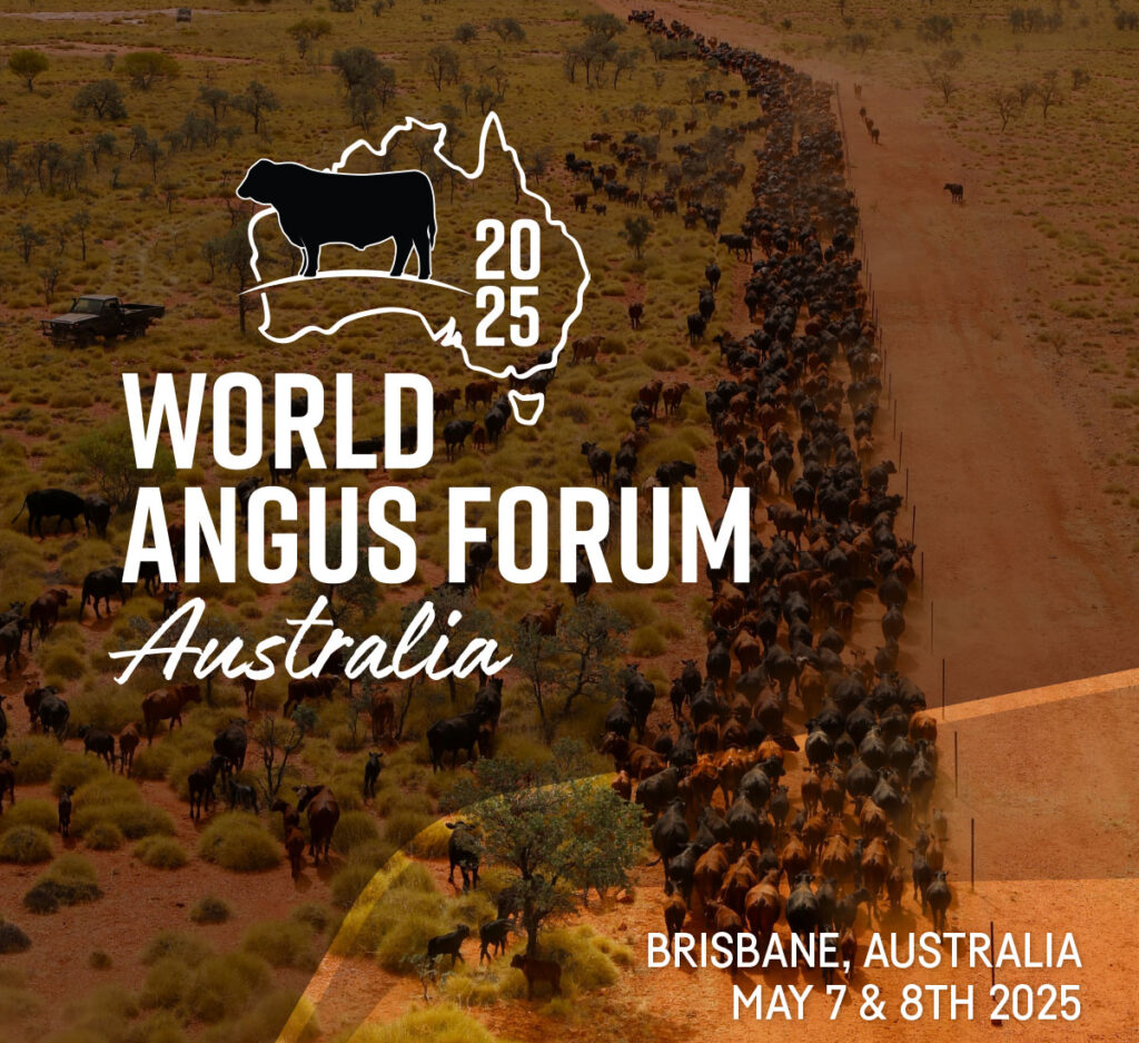 Angus Cow Images: A Visual Exploration